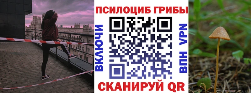 Галлюциногенные грибы GOLDEN TEACHER Чердынь