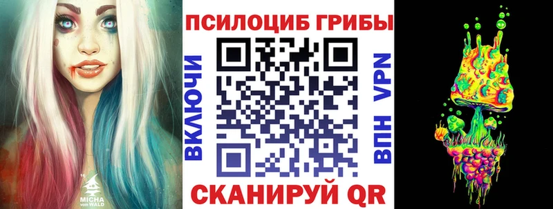 Галлюциногенные грибы GOLDEN TEACHER  Купить  Чердынь 